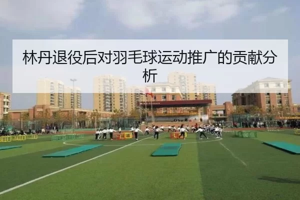 林丹退役后对羽毛球运动推广的贡献分析