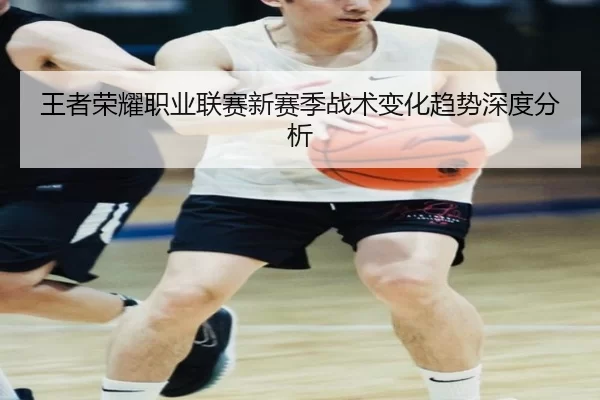 王者荣耀职业联赛新赛季战术变化趋势深度分析
