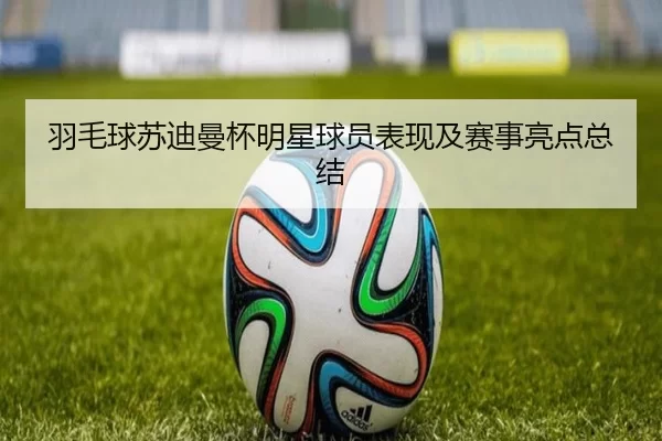 羽毛球苏迪曼杯明星球员表现及赛事亮点总结